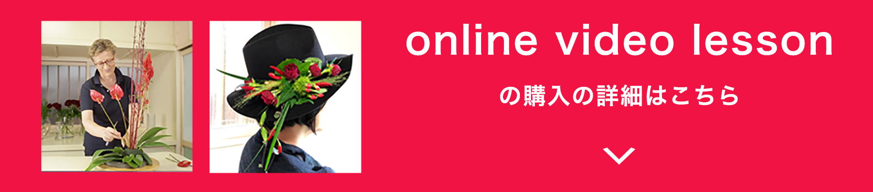online video lesson の購入の詳細はこちら