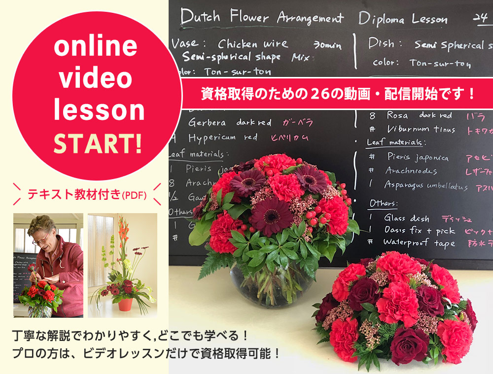 online  video  lesson START! 資格取得のための２６の動画・配信開始です！